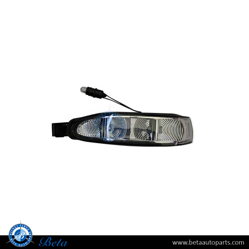 Left Side Mirror Blinker for Mercedes ML-Class/R-Class W164/W251 2005-2010 models, Part Number 1648200521