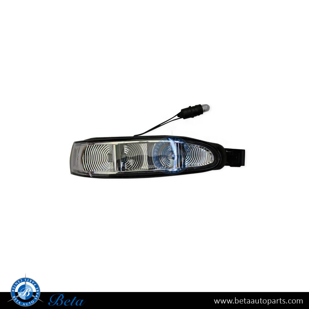 Right Side Mirror Blinker for Mercedes ML-Class/R-Class W164/W251 2005-2010 models, Part Number 1648200621