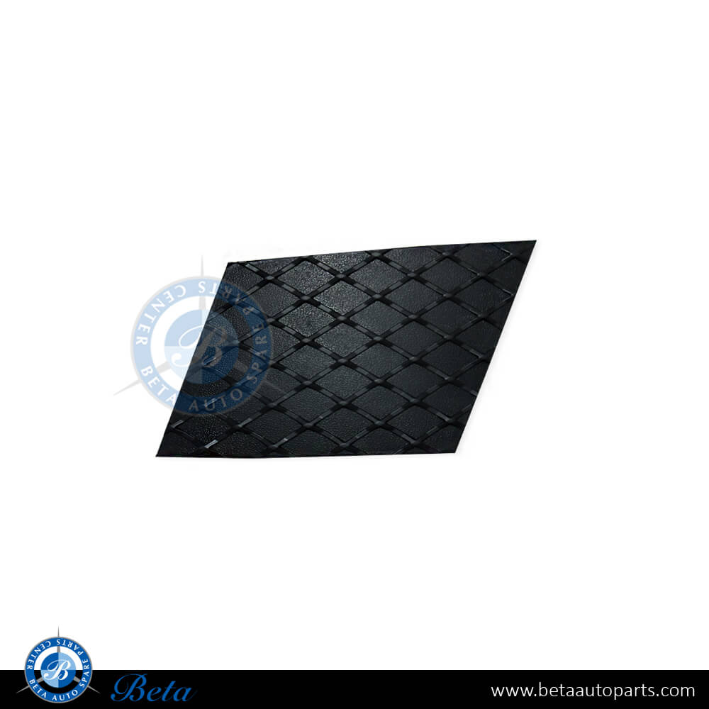 Left Side Front bumper grille cover for Mercedes ML-Class W166 2012-2014 models, Part Number 1668850322
