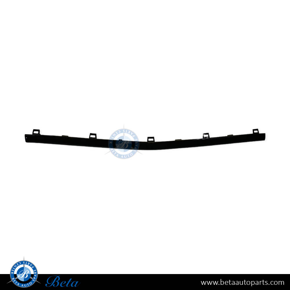 Front Bumper Moulding AMG with Night Package - Black for Mercedes GLE-Class W167/C167 2019-Up models, Part Number 1678854605