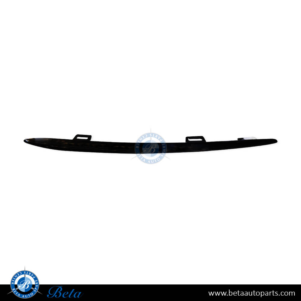 Mercedes W167/C167 Front Bumper Lower Grille Lower Moulding Normal AMG - Black , Part Number 1678855005