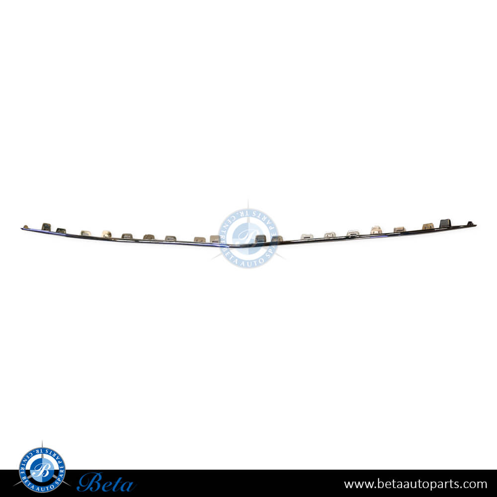 Front Bumper Lower Moulding Avantgarde Chrome (Center) for Mercedes C-Class 2019-2021 models, Part Number 2058852901