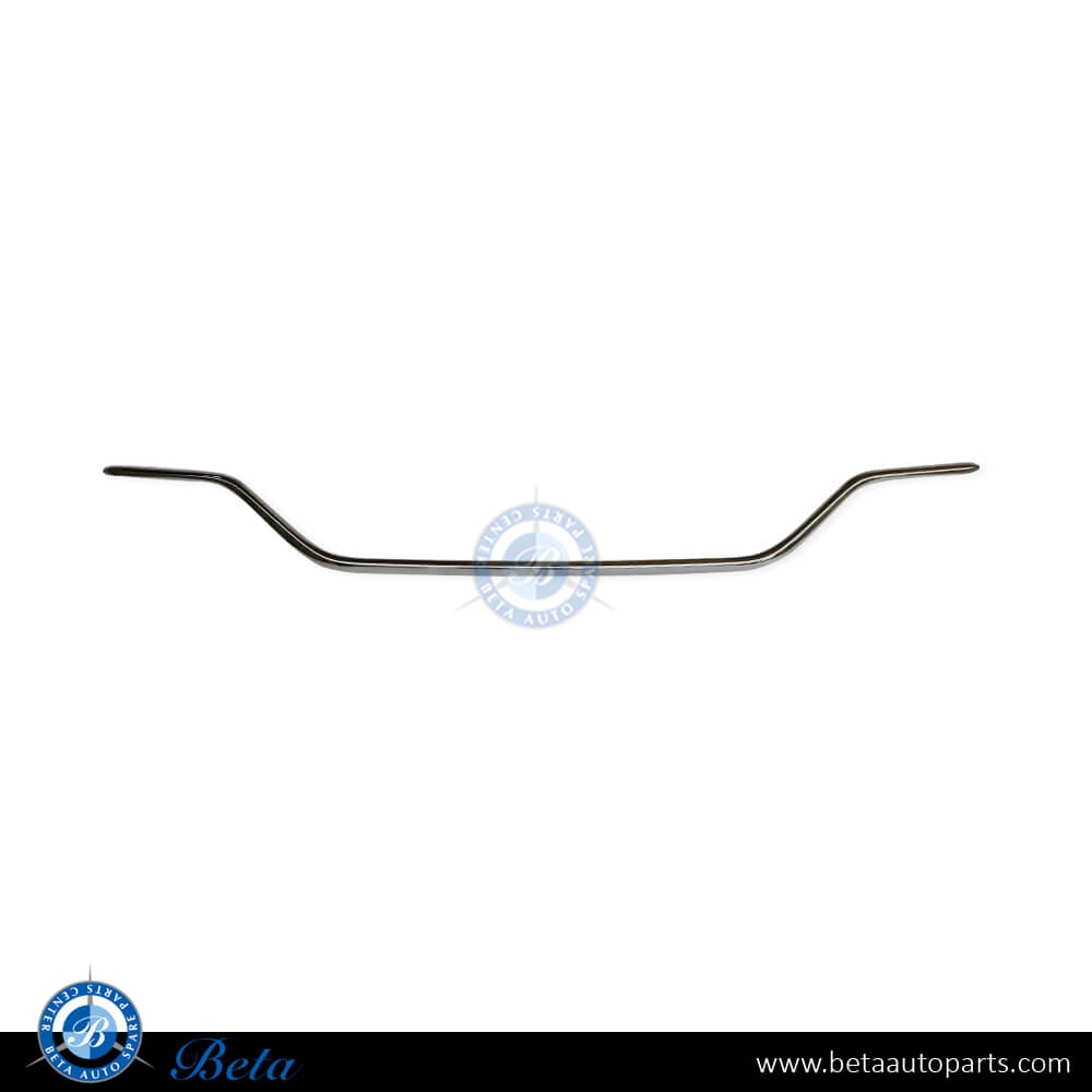 Rear Diffuser Chrome Moulding Normal AMG Silver Color for Mercedes C-Class W205 2019-2021 models, Part Number 2058853903