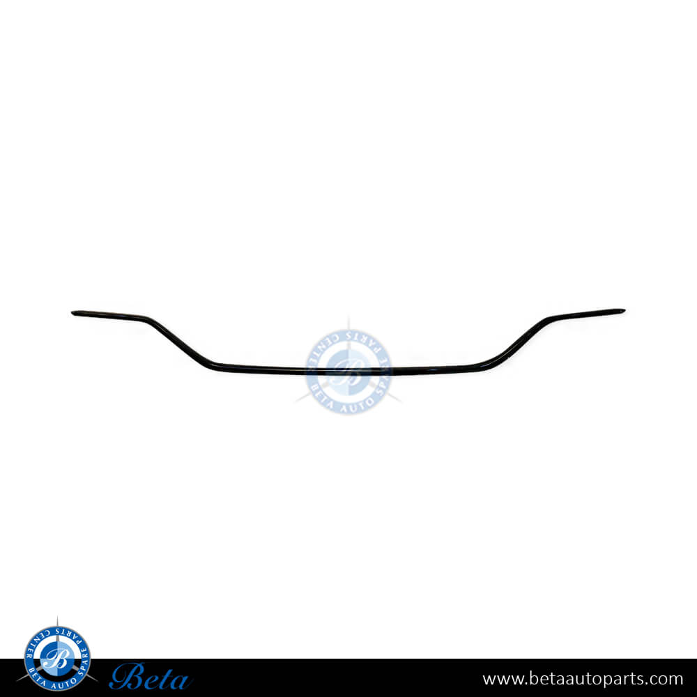 Rear Diffuser Moulding Normal AMG - Black for Mercedes C-Class W205 2019-2021 models, Part Number 2058854103