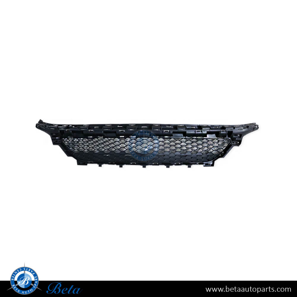 Front Bumper Lower Grille AMG for Mercedes C-Class W205 2019-2021 models, Part Number 2058856204