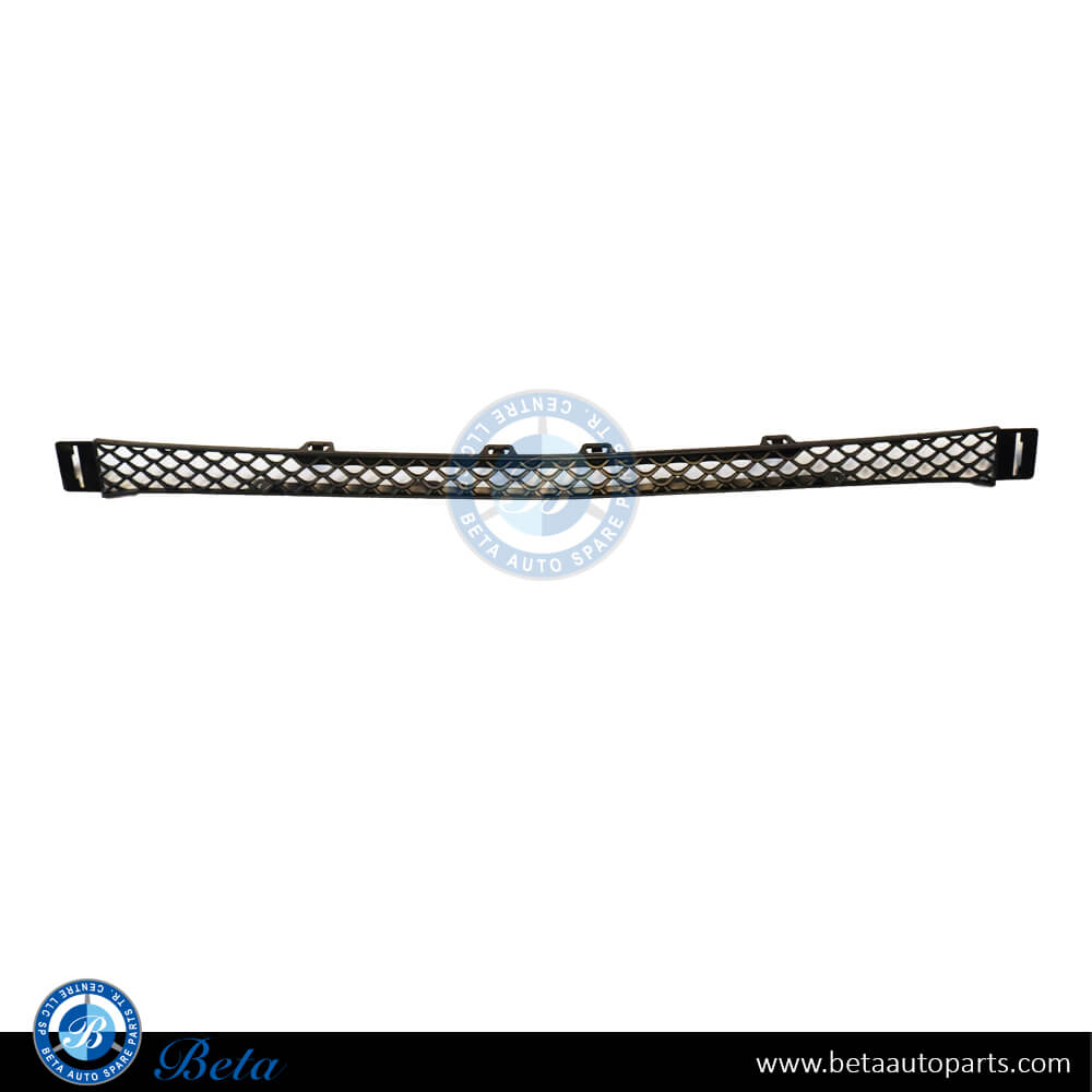 Front Bumper Lower Grille - Center for Mercedes C-Class 2022-Up models, Part Number 2068852101