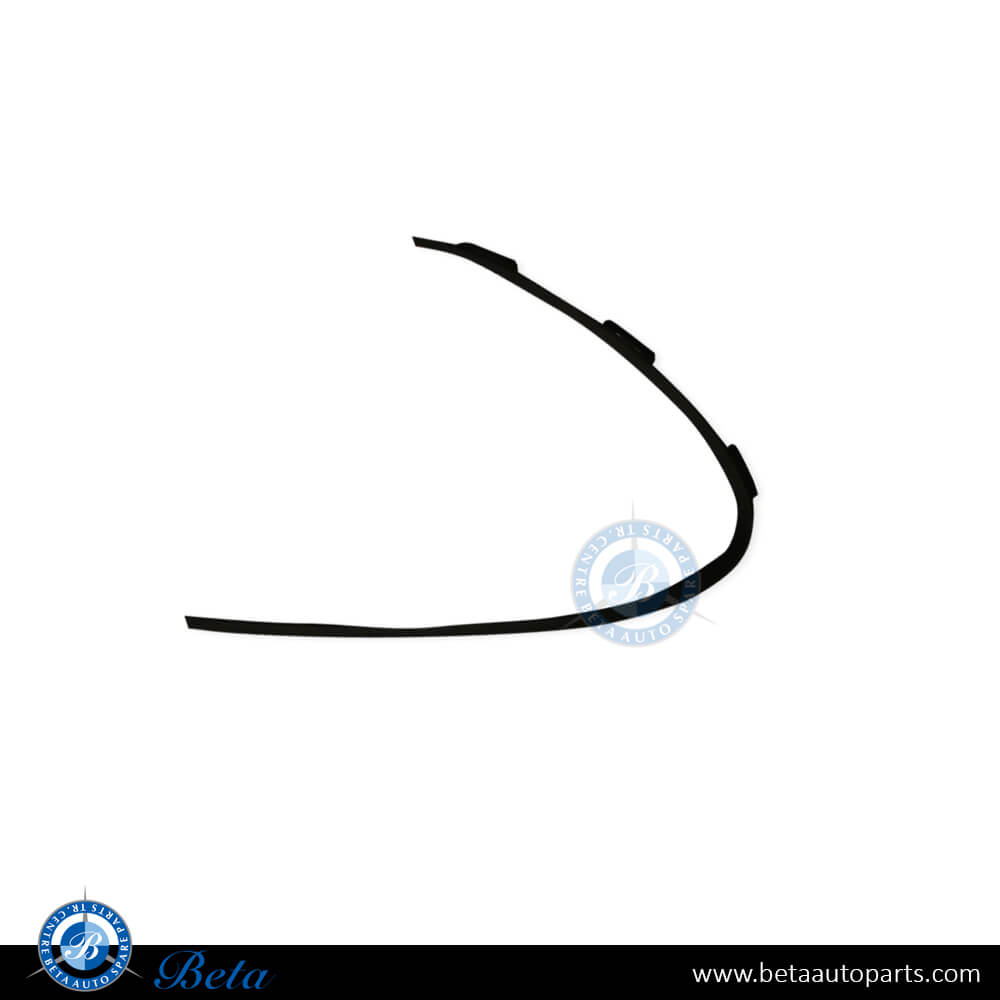 Left Side Front Bumper Lower Grille Moulding Normal AMG for Mercedes C-Class W206 2022-Up models, Part Number 2068854702