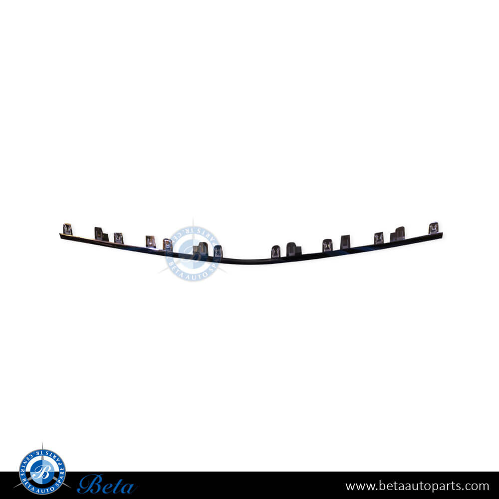Front Bumper Lower Moulding Normal AMG - Silver for Mercedes C-Class W206 2022-Up models, Part Number 2068855702