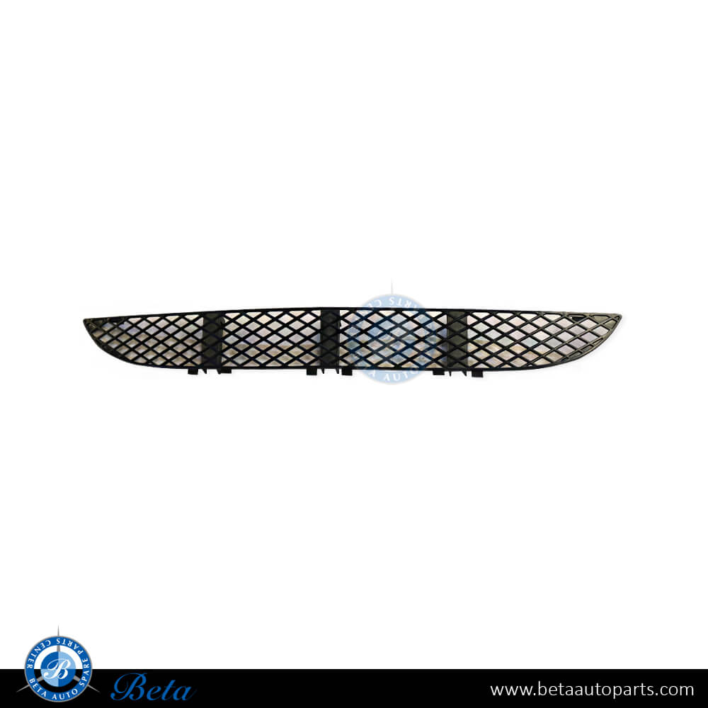 Front Bumper Lower Grille for Mercedes E-Class W211 2000-2002 models, Part Number 2108850053