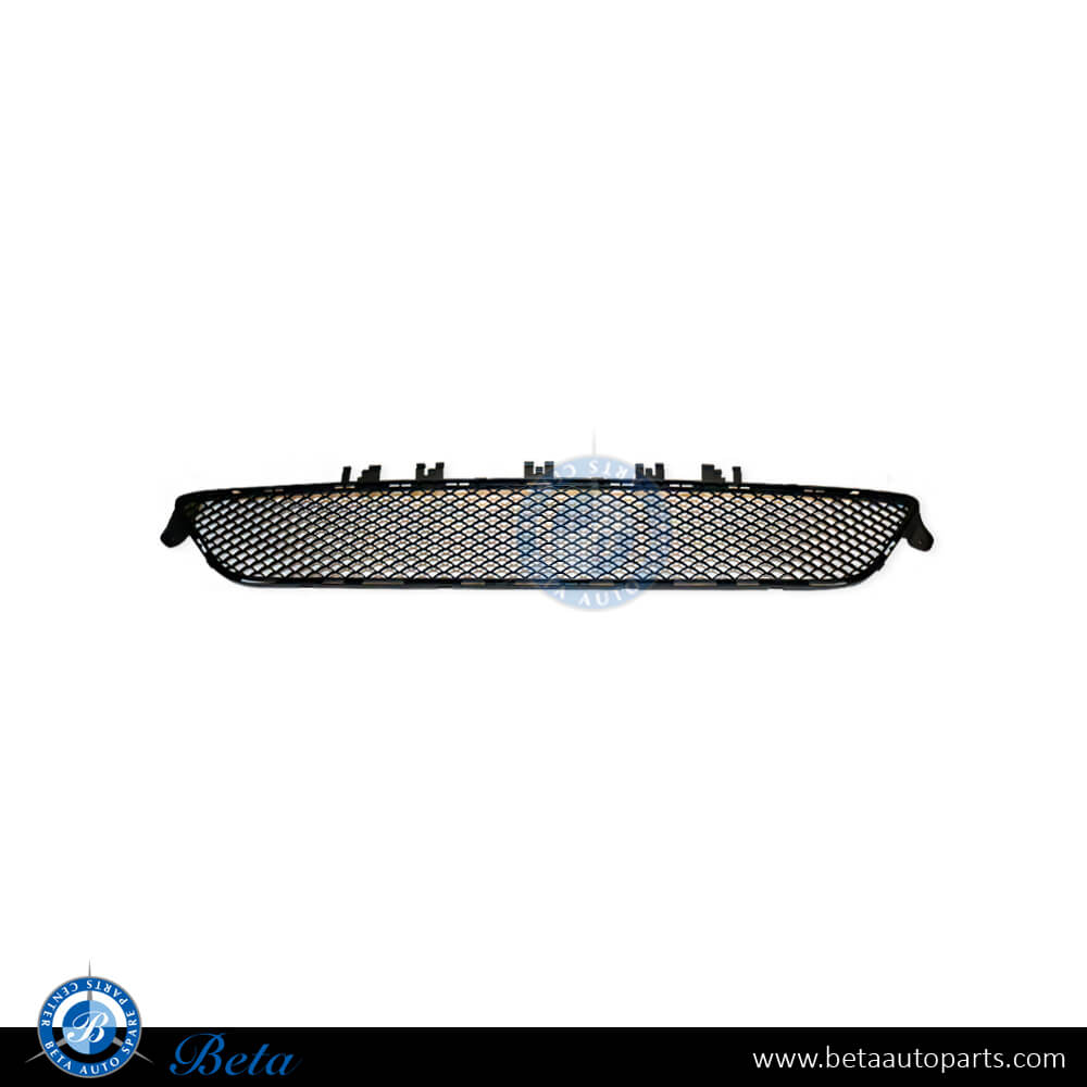 Front Bumper Lower Grille Avantgrade for Mercedes E-Class W212 2014-2016 models, Part Number 2128850522
