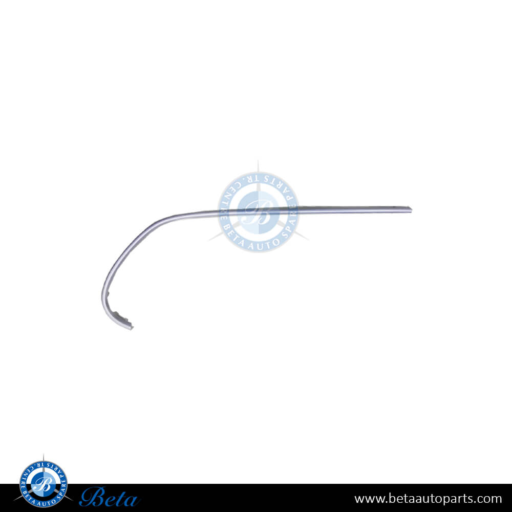 Left Side Radiator Grille Frame Moulding AMG with Camera Hole - Silver for Mercedes E-Class W213 / C238 2021-Up models, Part Number 2138856506