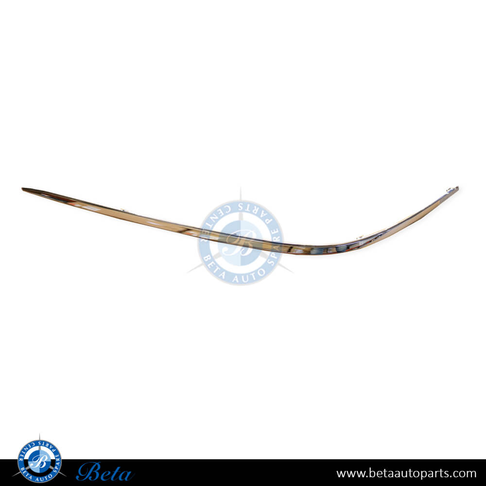 Left Side Front Bumper Chrome Moildng for Mercedes S-Class W220 2003-2005 models, Part Number 2208850574