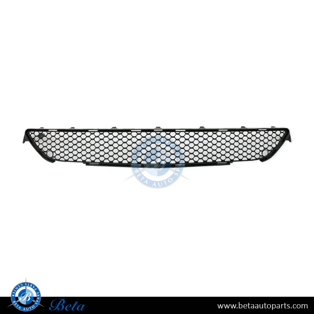Front Bumper Lower Grille Normal AMG for Mercedes S-Class W221 2010-2013 models, Part Number 2218850453