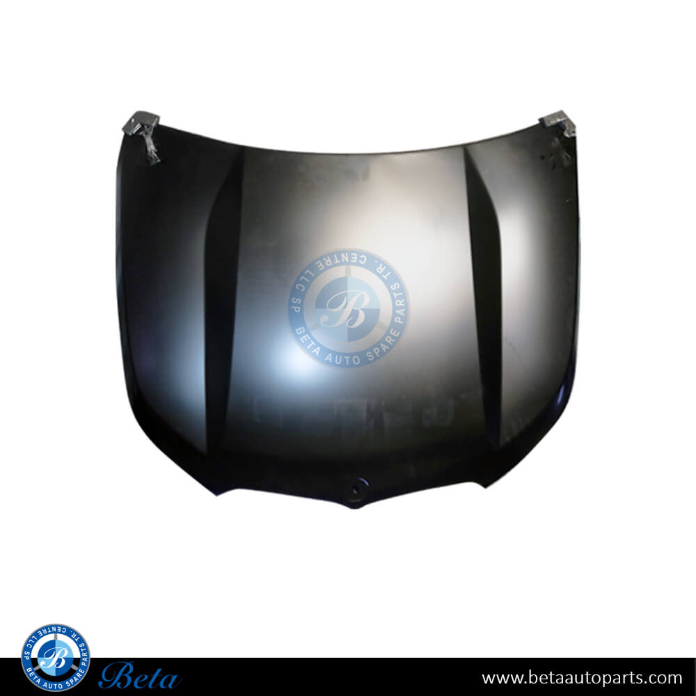 Hood for BMW X1 2023-Up models, Part Number 41009629102