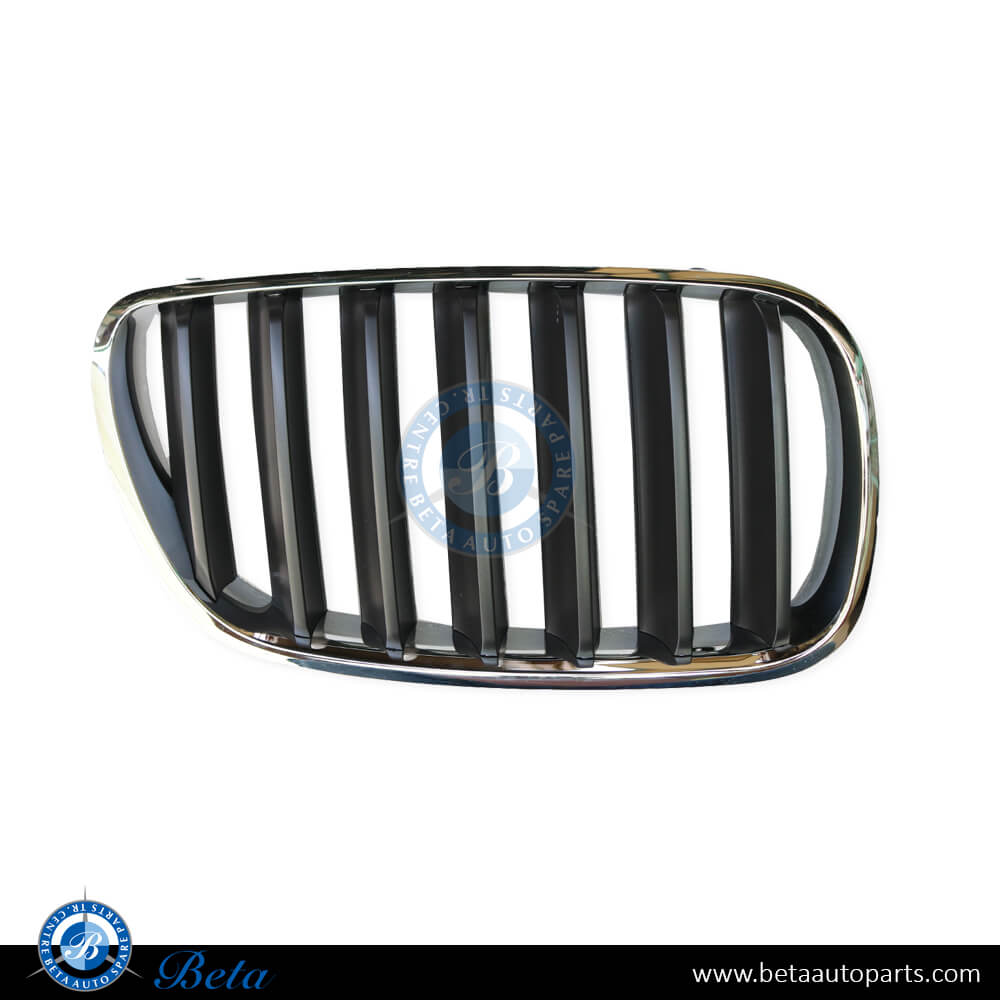 Left Side Radiator Grille Chrome Titanium for BMW X3 E83 LCI 2007-2010 models, Part Number 51113420091