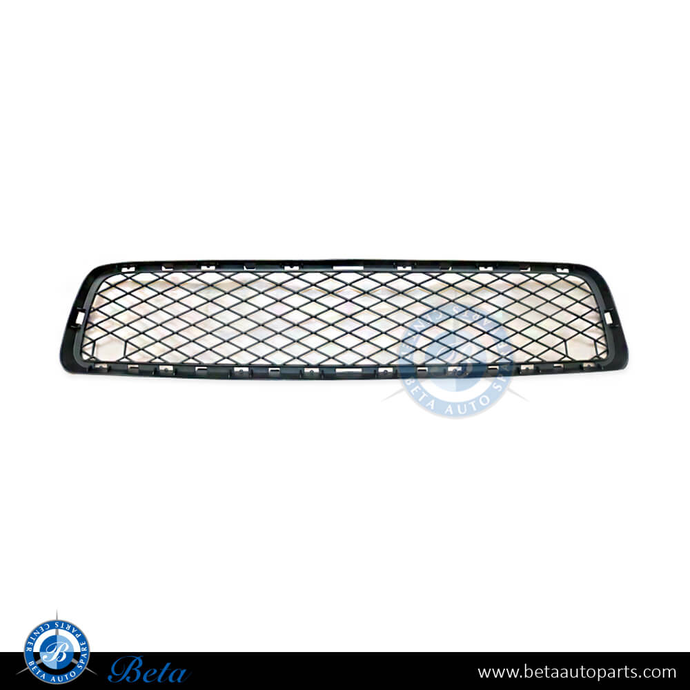 Front Bumper Lower Grille for BMW X5 E70 2007-2010 models, Part Number 51117163956