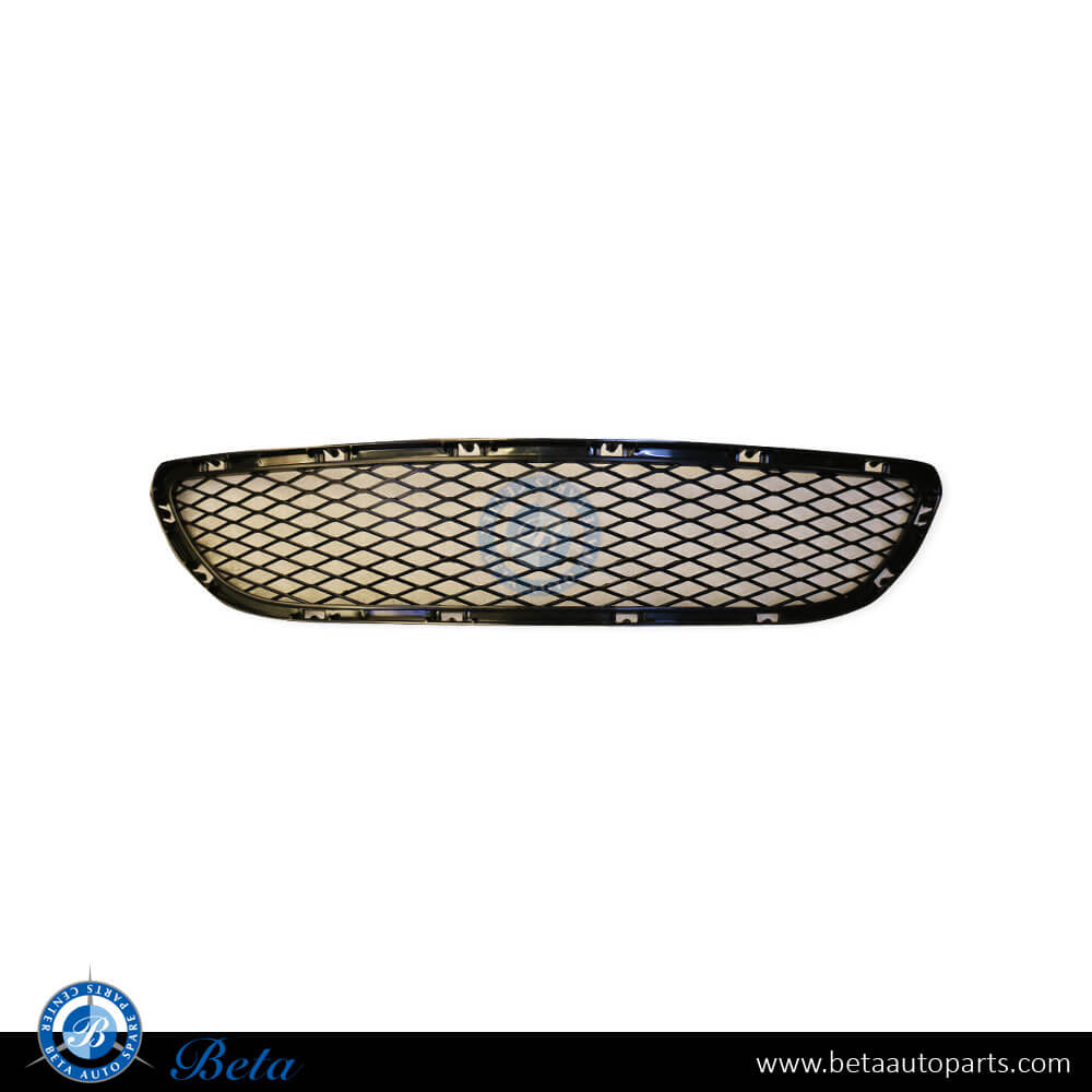 Front Bumper Lower Grille for BMW 3 Series E90 2009-2011 models, Part Number 51117198906