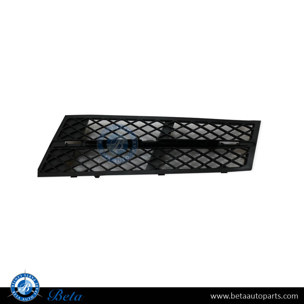 Left Side Front Bumper Lower Grille for BMW 5 Series F10 2010-2013 models, Part Number 51117200697