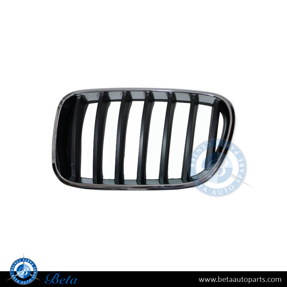 Left Side Grille for BMW X3 F25 2011-2014 models, Part Number 51117210725
