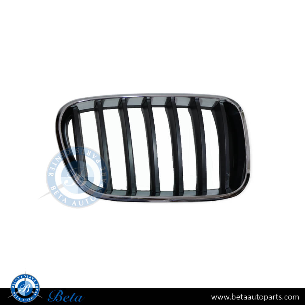 Right Side Grille for BMW X3 F25 2011-2014 models, Part Number 51117210726