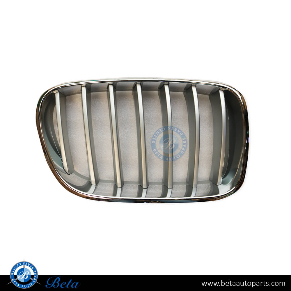 Left Side Radiator Grille Titanium for BMW X3 F25 2011-2014 models, Part Number 51117237421