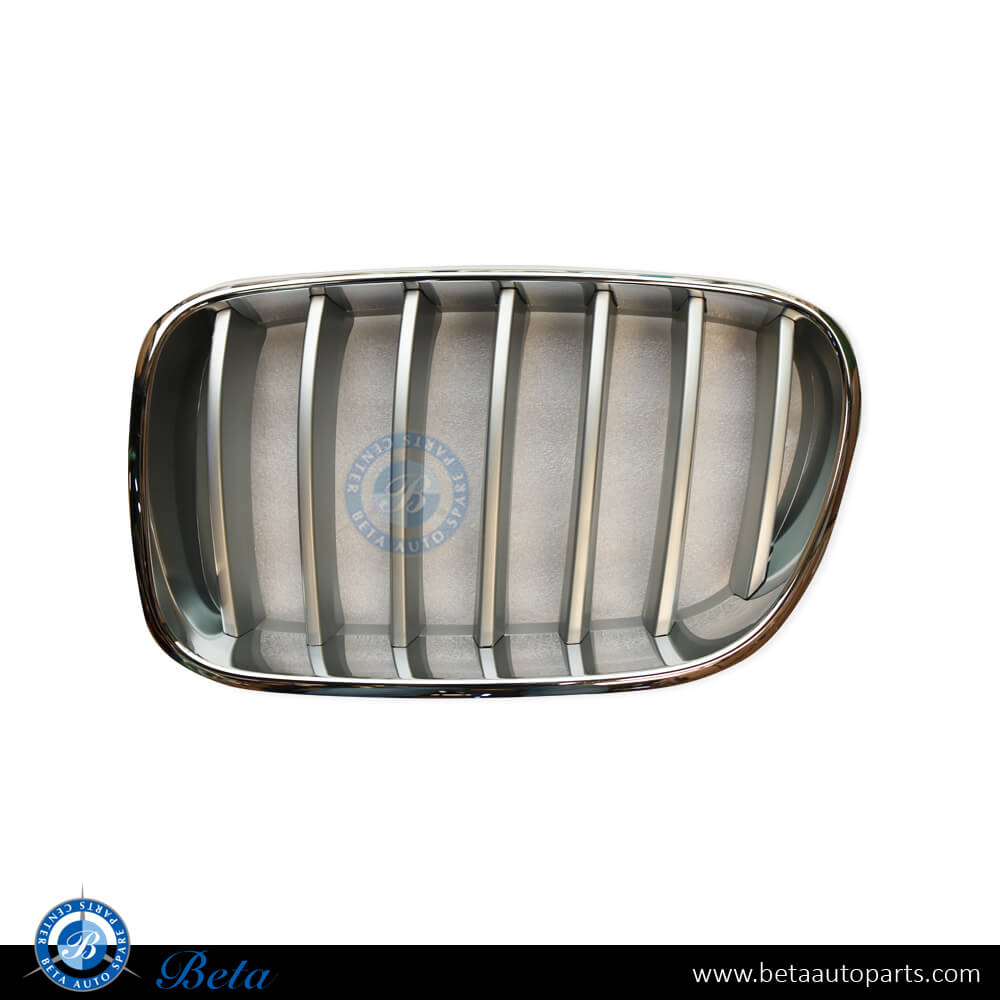 Right Side Radiator Grille Titanium for BMW X3 F25 2011-2014 models, Part Number 51117237422