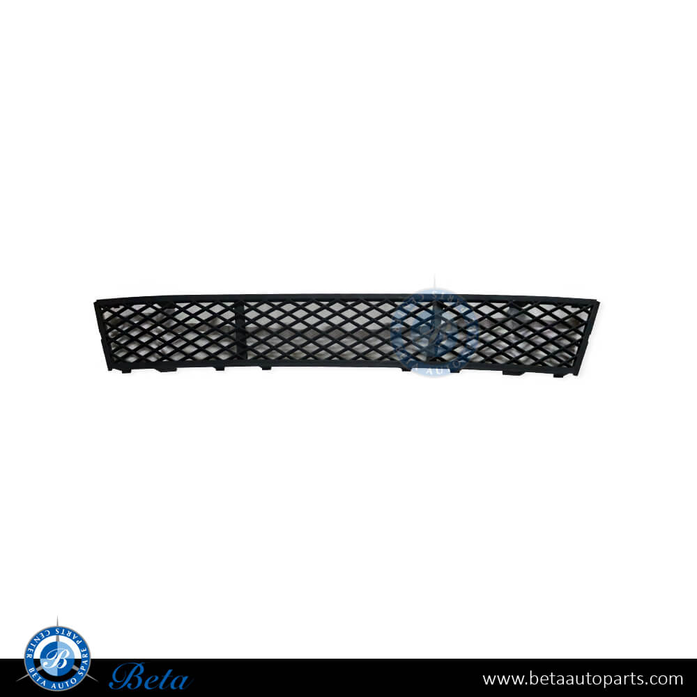 Front Bumper Lower Grille for BMW 5 Series F10 2010-2013 models, Part Number 51117285950