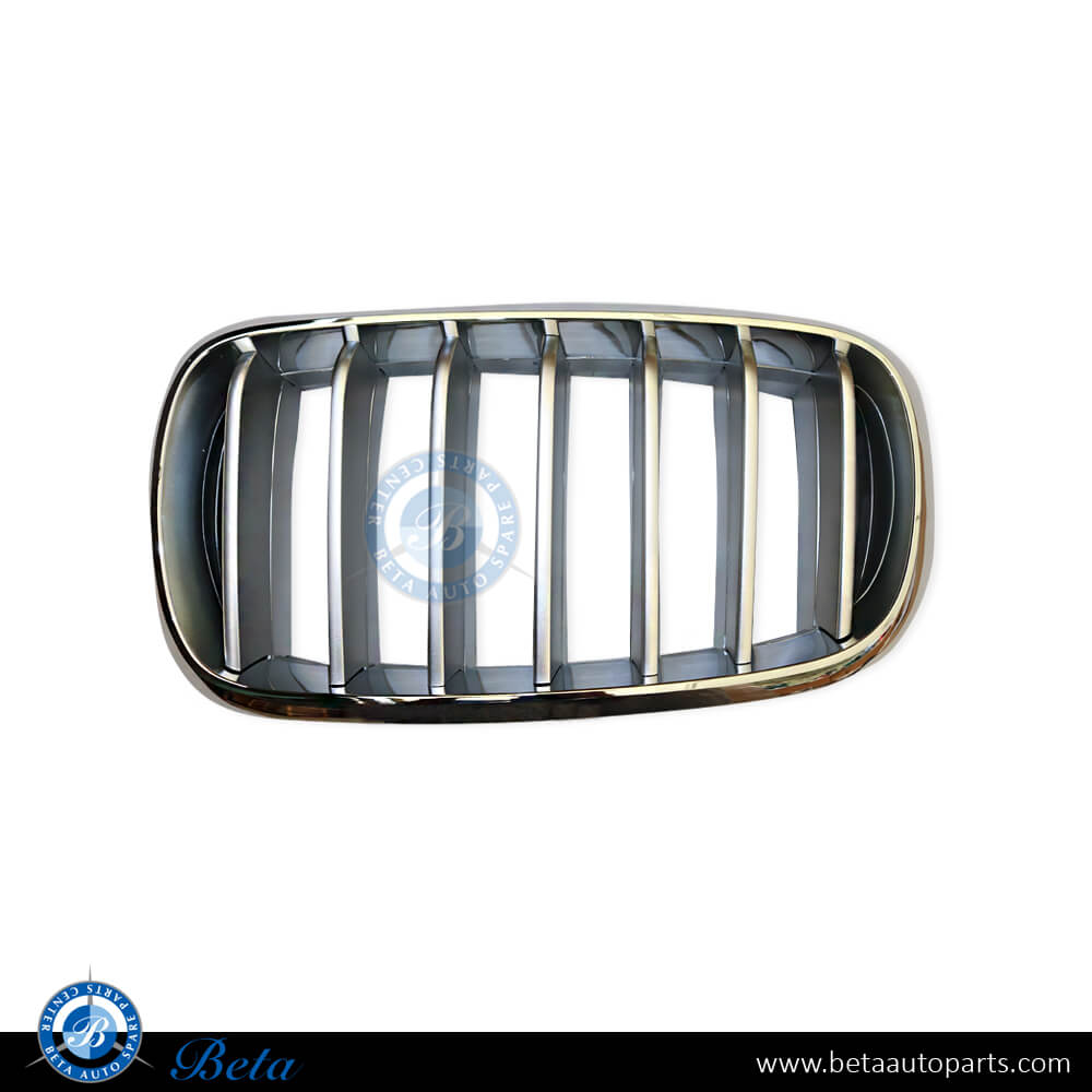 Left Side Grille - Titanium for BMW X5 F15 2014-2018 models, Part Number 51117303107