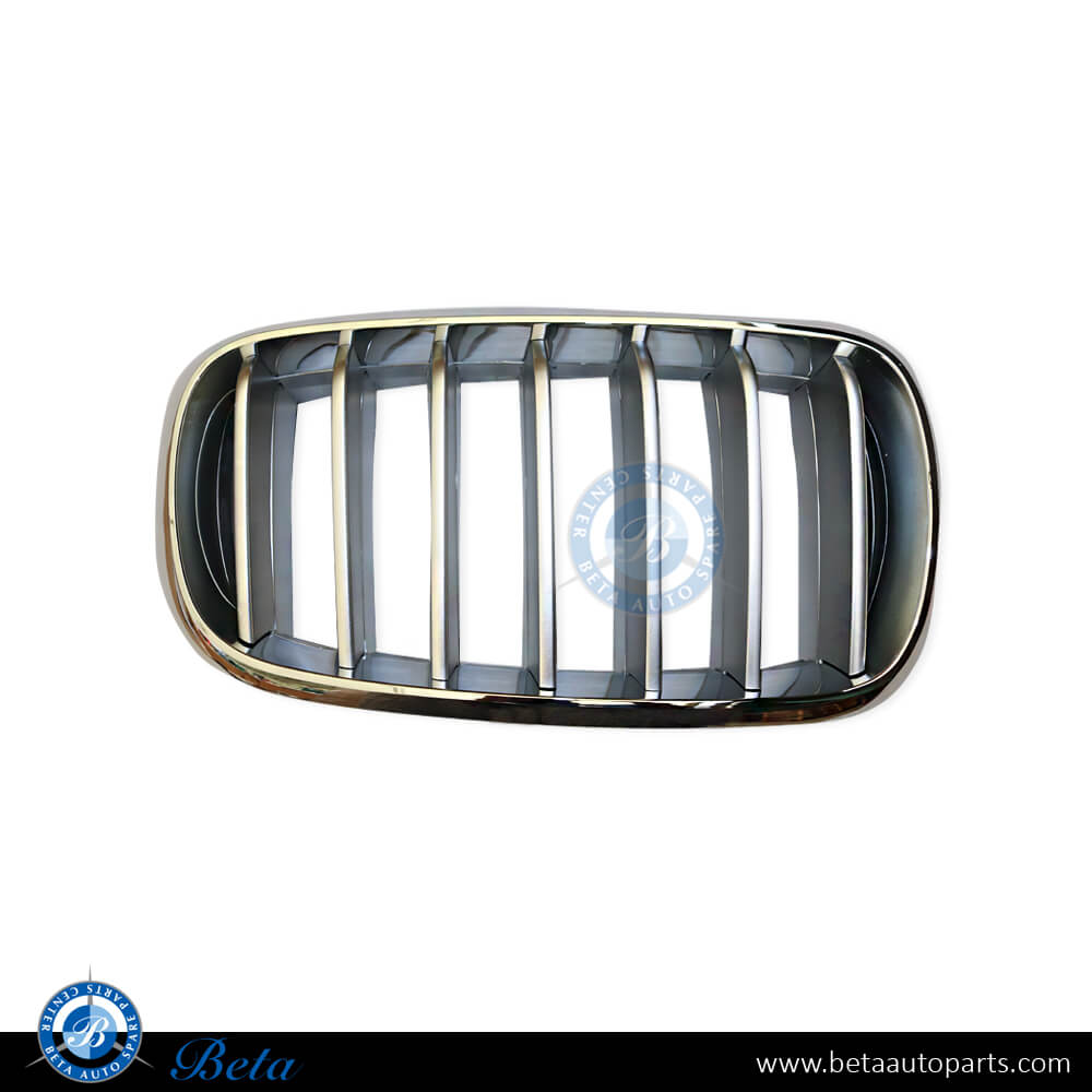 Right Side Grille - Titanium for BMW X5 F15 2014-2018 models, Part Number 51117303108