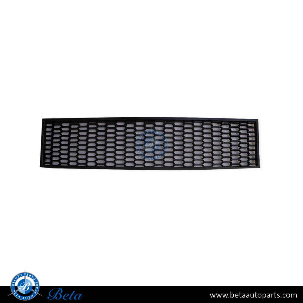 Front Bumper Lower Grille M-Tek for BMW 5 Series F10 2010-2013 models, Part Number 51117903894
