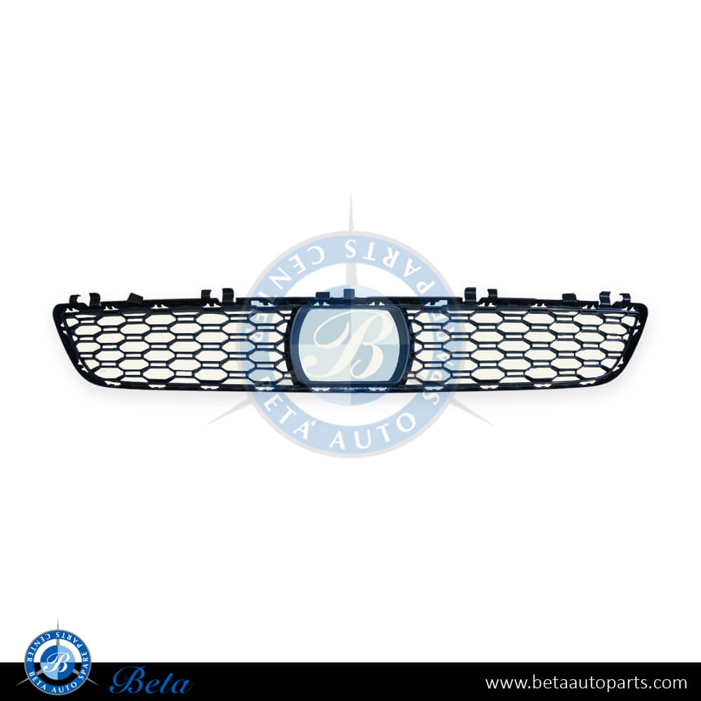 Front Bumper Lower Grille with ACC M-Tek for BMW 5 Series G30 2017-up models, Part Number 51118064931