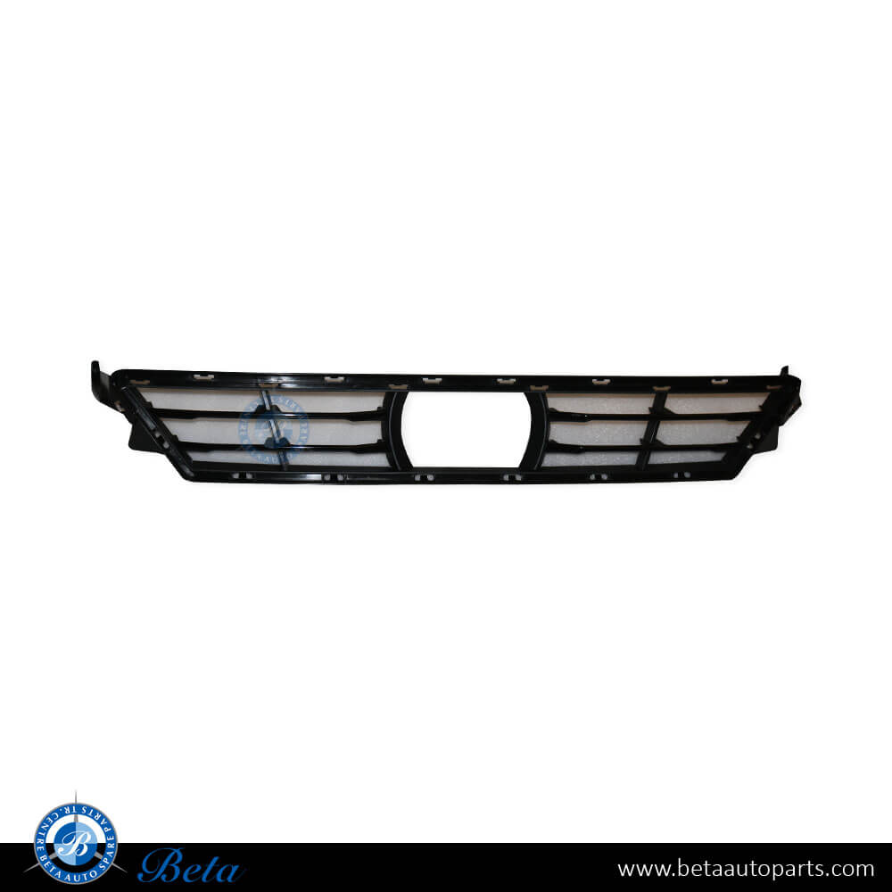Front Bumper Lower Grille with ACC for BMW X3/X4 G01 LCI/G02 LCI 2022-Up models, Part Number 51119451145