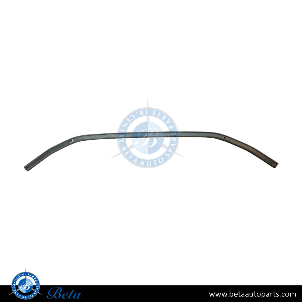 Front Bumper Lower Reinforcement for BMW 1 Series / X1 / X2 2023-Up models, Part Number 51119879156