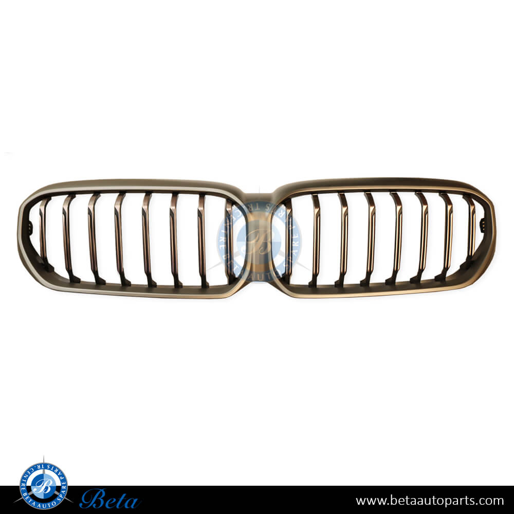 Grille without Camera hole M-Tek for BMW 5 Series G30 LCI 2021-Up models, Part Number 51129852283