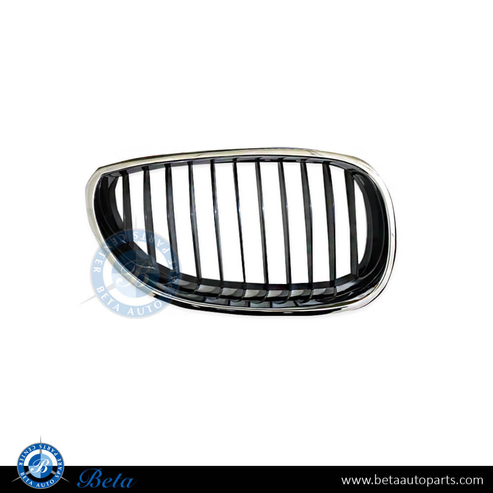 Right Side Grille for BMW 5 Series E60 2003-2009 models, Part Number 51137027062
