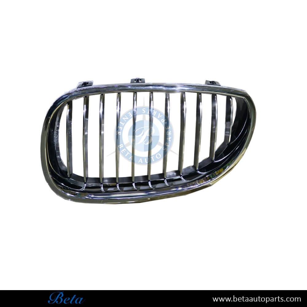 Left Side Grille for BMW 5 Series E60 2003-2009 models, Part Number 51137065701
