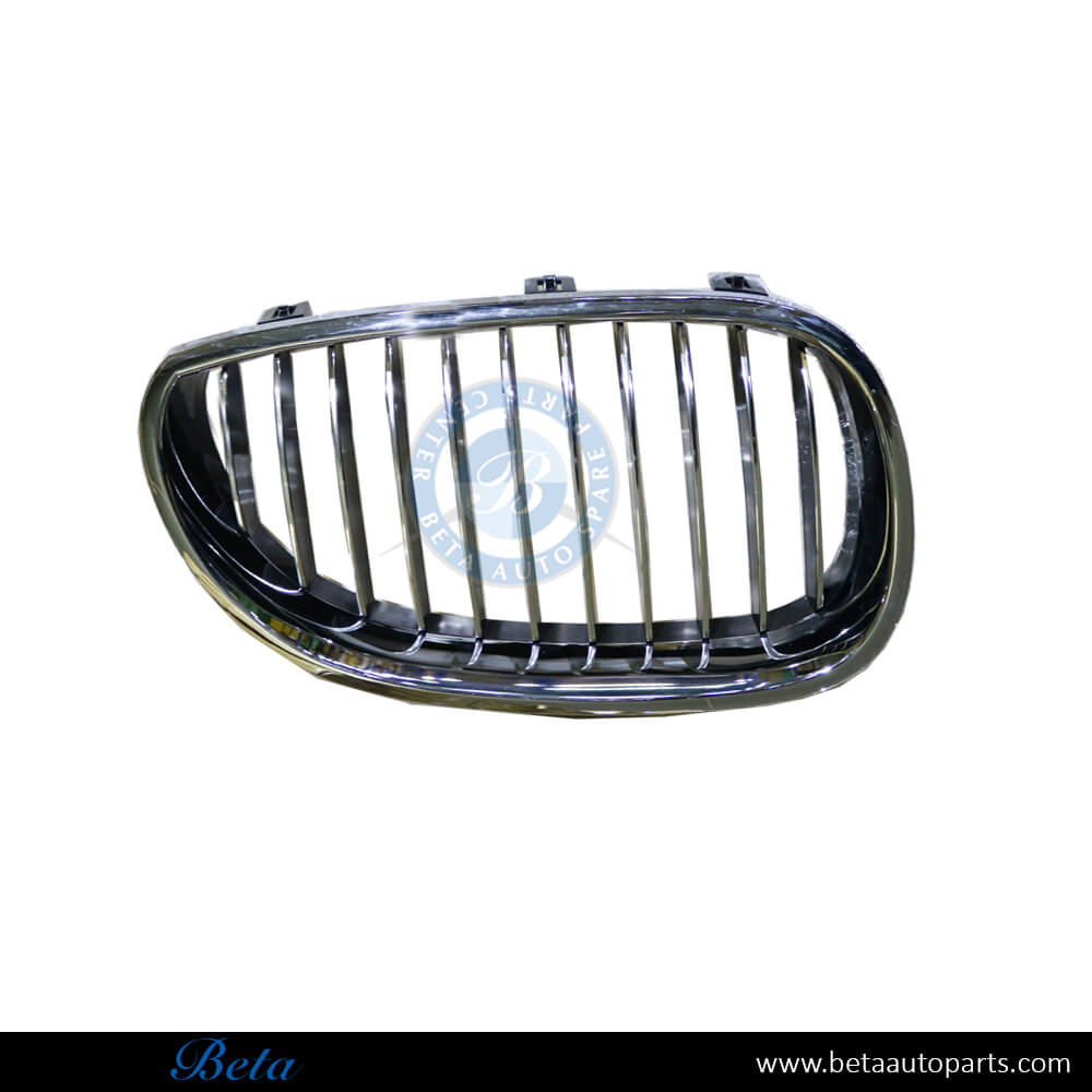 Right Side Grille for BMW 5 Series E60 2003-2009 models, Part Number 51137065702