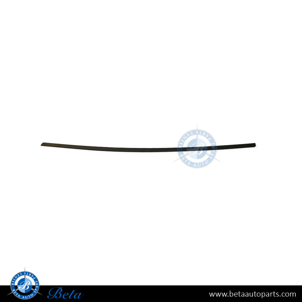 Right Side Front Door Moulding for BMW X5 E70 2007-2013 models, Part Number 51137158534