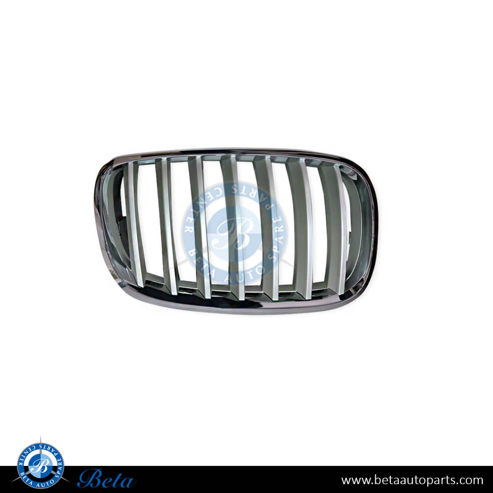 Right Side Radiator Grille - Silver for BMW X5/X6 E70/E71 2007-2014 models, Part Number 51137185224