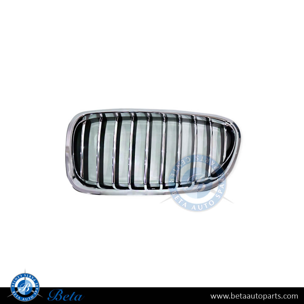Left Side Grille for BMW 5 Series F10 LCI 2014-2016 models, Part Number 51137336477