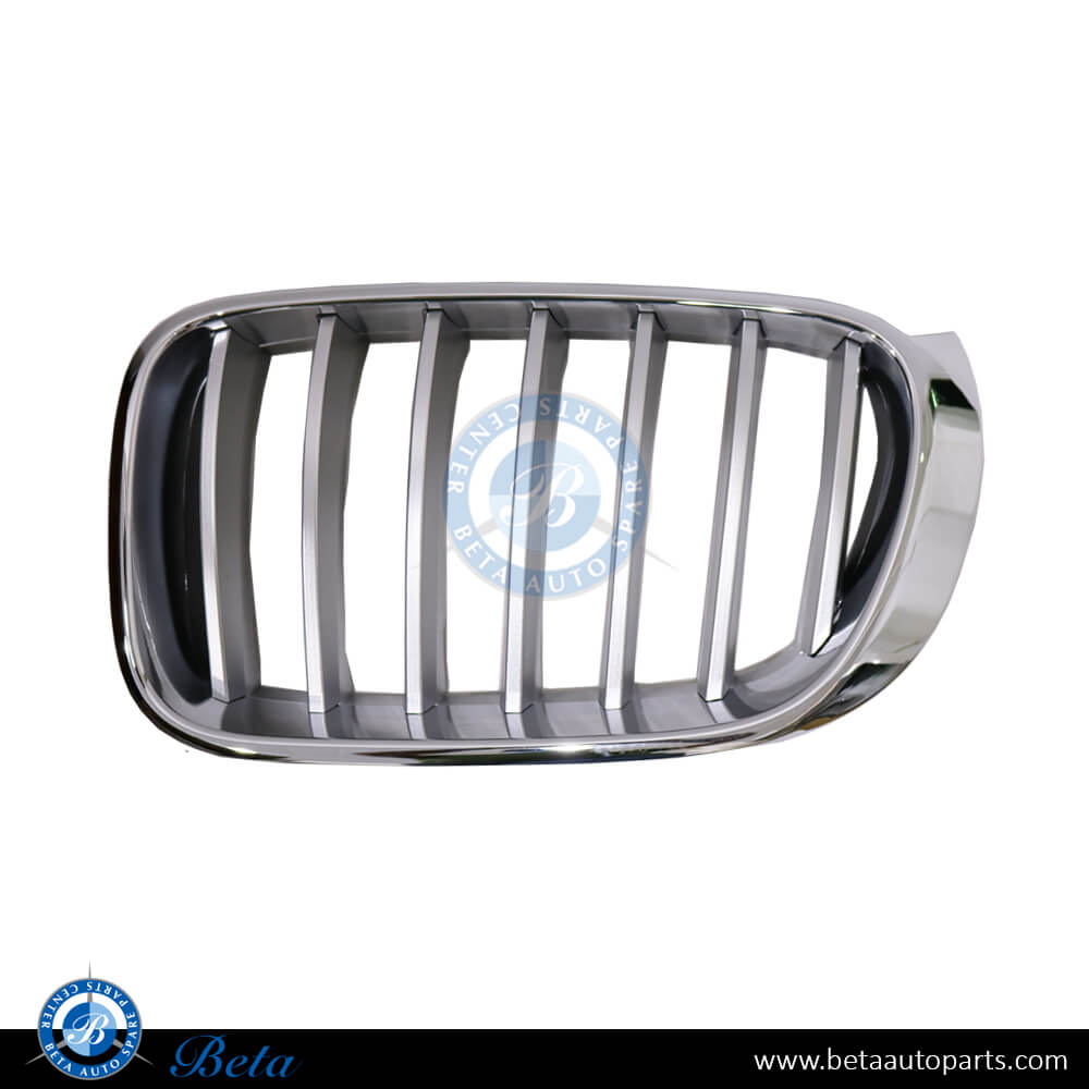 Left Side Grille X-Line for BMW X3/X4 F25/F26 2014-2018 models, Part Number 51137367421