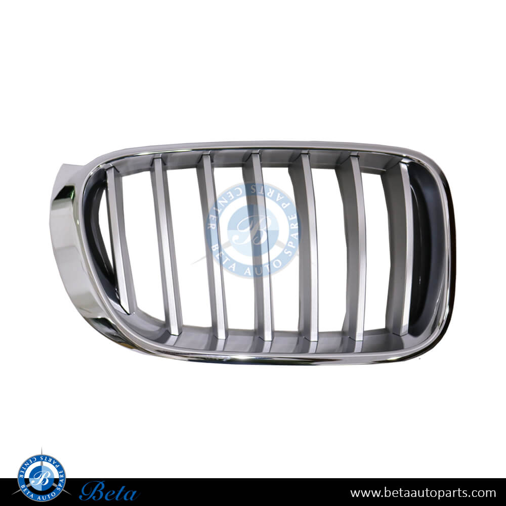 Right Side Grille X-Line for BMW X3/X4 F25/F26 2014-2018 models, Part Number 51137367422