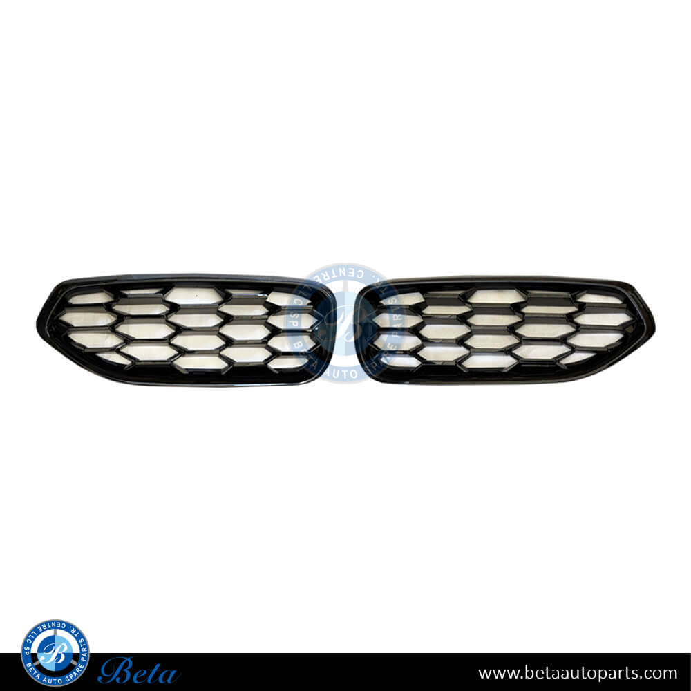 Radiator Grille (Gloss Black) for BMW Z4 2018-Up models, Part Number 51138091295 / 51138091296