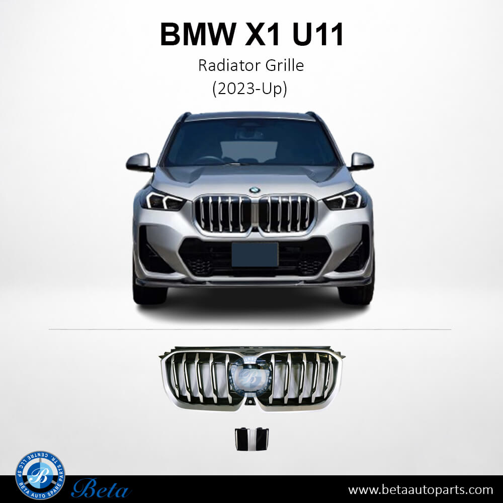 BMW X1 U11 (2023-Up), Radiator Grille (Silver), China, 51139880301