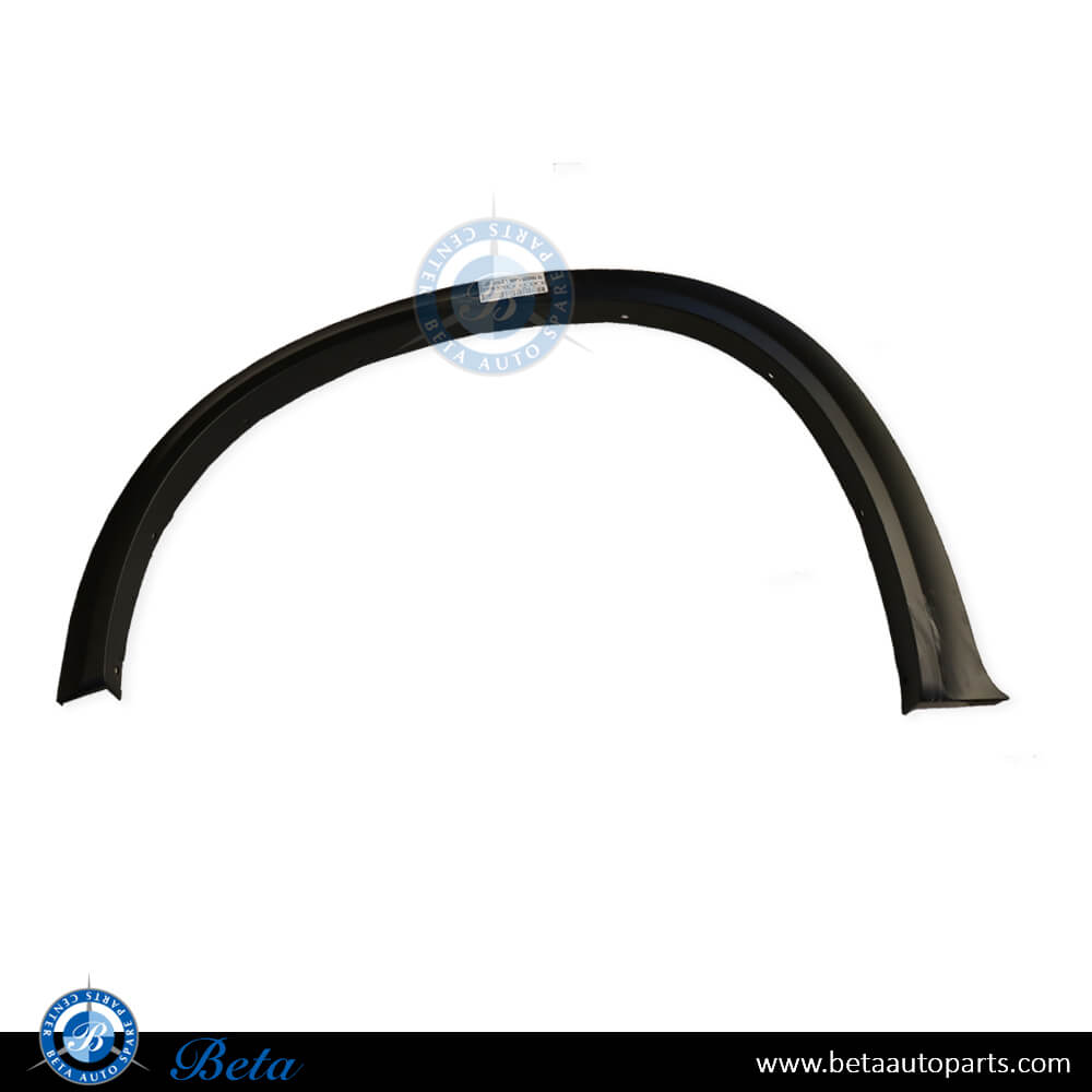 Left Side Front Wheel Arch for BMW X5 E70 2007-2013 models, Part Number 51777163557