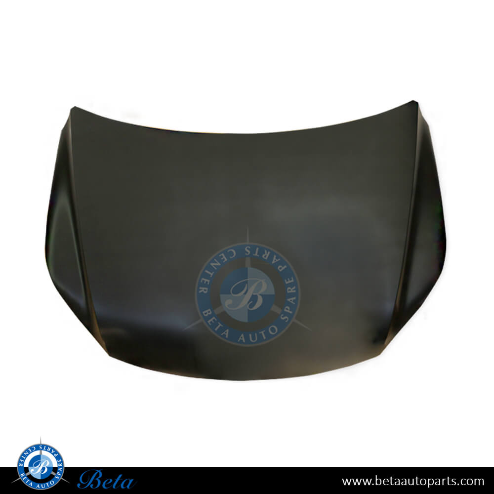 Hood for Volkswagen Tiguan 2008-2016 models, Part Number 5N0823031A