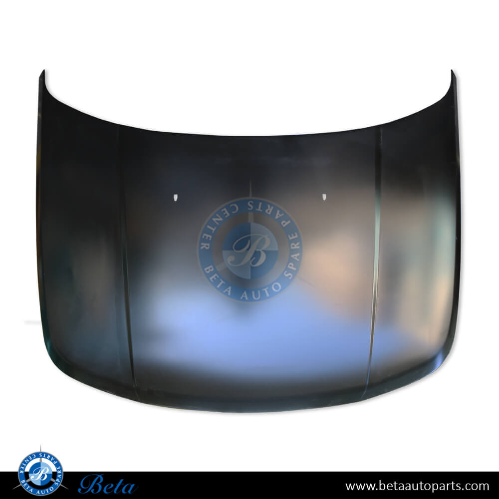 Hood Aluminum for Range Rover Sport 2005-2012 models, Part Number BKA790050