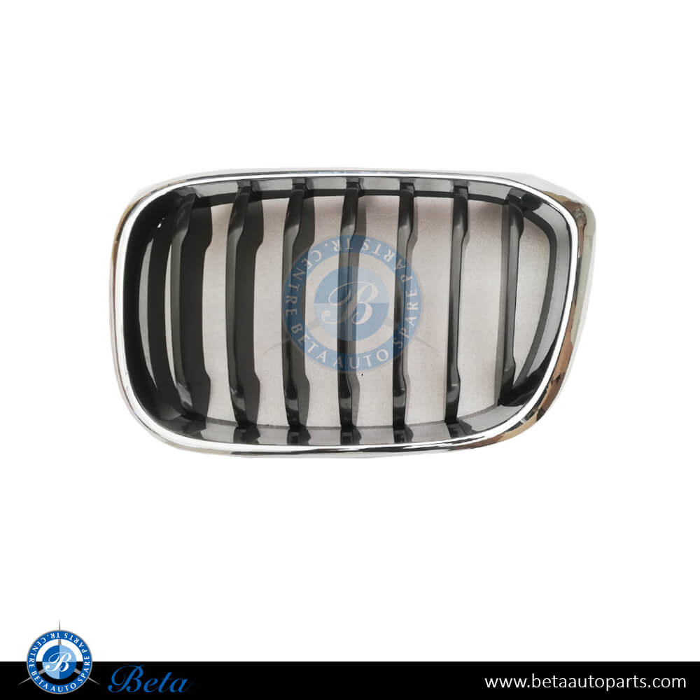 Left Side Grille for BMW X3/X4 G01/G02 2018-up models, Part Number 51137397465