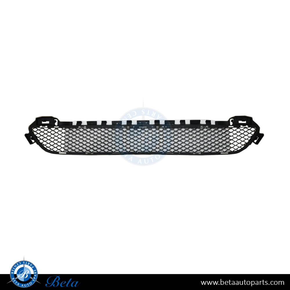 Front Bumper Lower Grille for Mercedes C-Class W205 Avantgarde 2015-2018 models, Part Number 2058850423